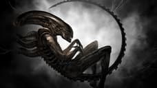 ALIEN: BLACKOUT Twitter Accounts Have Been Spotted