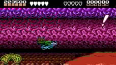 A Second BATTLETOADS Game For The Game Boy Was Ready To Be Released And Was Cancelled