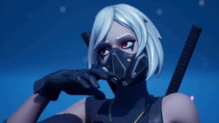 Some FORTNITE Players Are Asking Epic Games For The Option To Disable Seeing Other Player Skins