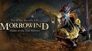Morrowind Gets A Fan-Made Dual-Screen Mode That Moves Your Map, Inventory And Menus To A Second Display