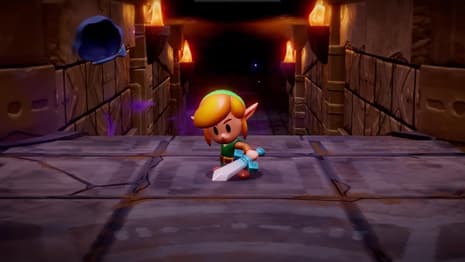 THE LEGEND OF ZELDA: ECHOES OF WISDOM Rating Hints That Link Will Also Be Playable