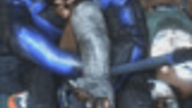 Batman: Arkham City - Nightwing Knows Jiu-Jitsu?