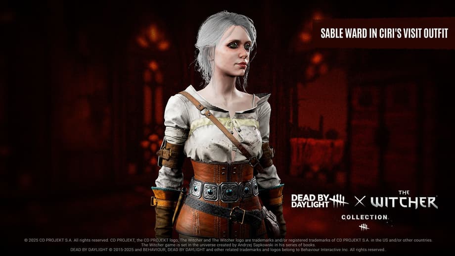 Ciri's Visit Skin Image