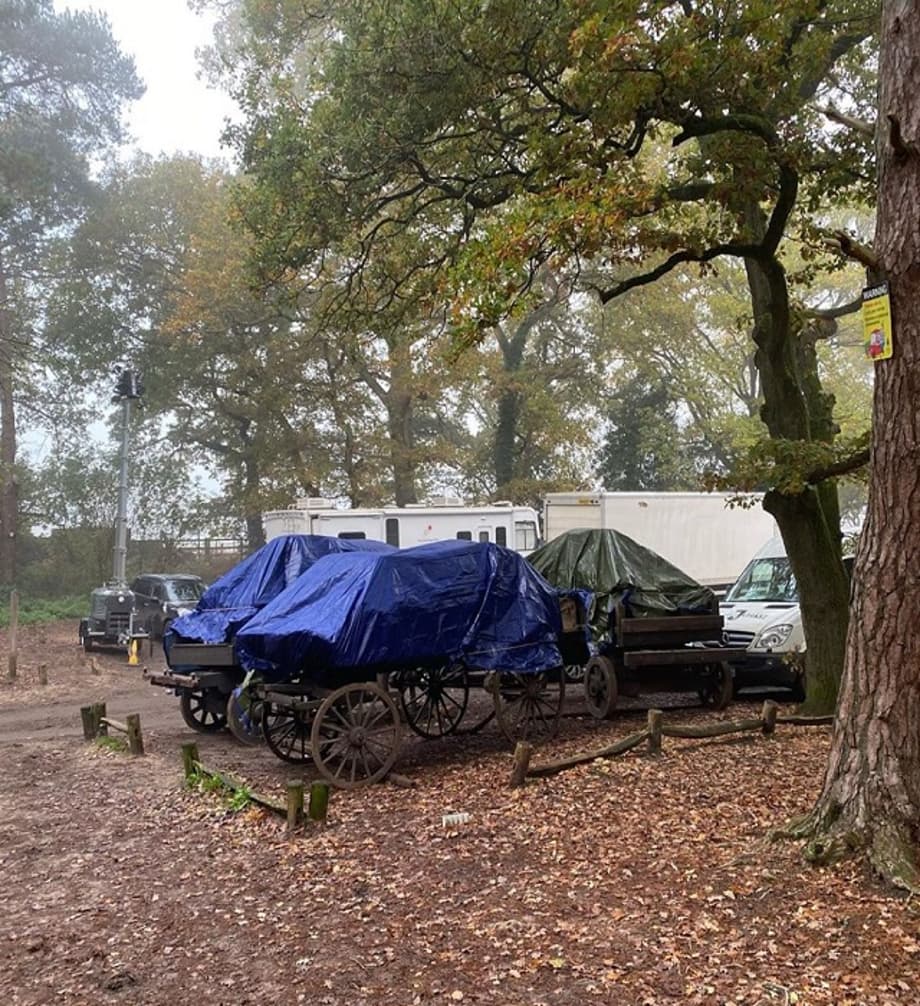 123477359-201187168188095-9122529629876666985-n