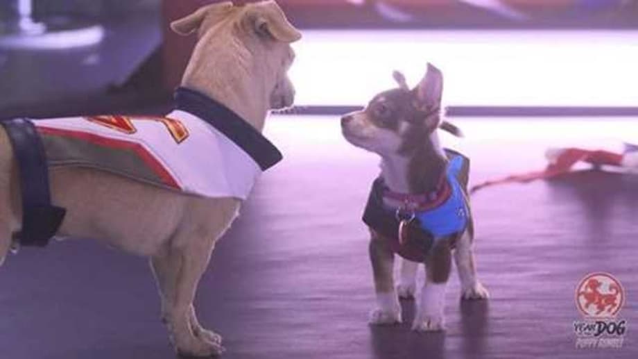 Blizzard's Hosting An OVERWATCH 'Year of the Dog Puppy Rumble' Event On Monday; Watch The Adorable Teaser