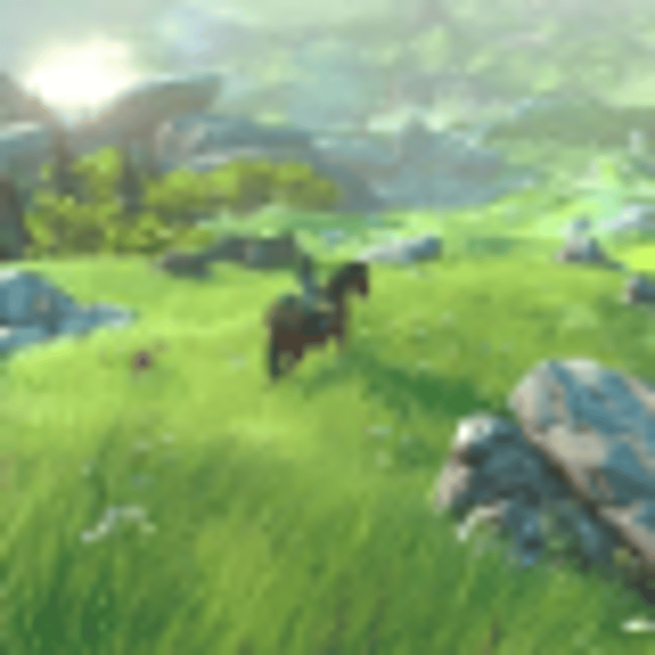 Big World, Big Distractions in Zelda Wii U.