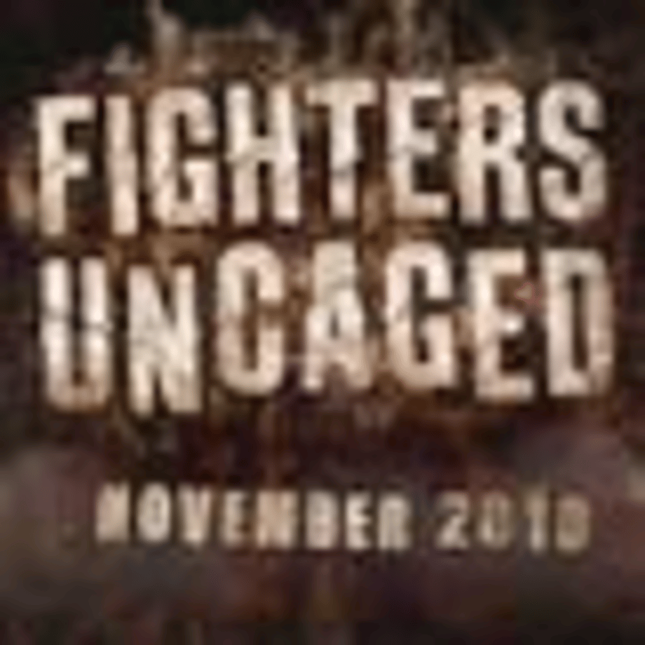 Fighters Uncaged Coming November For Kinect