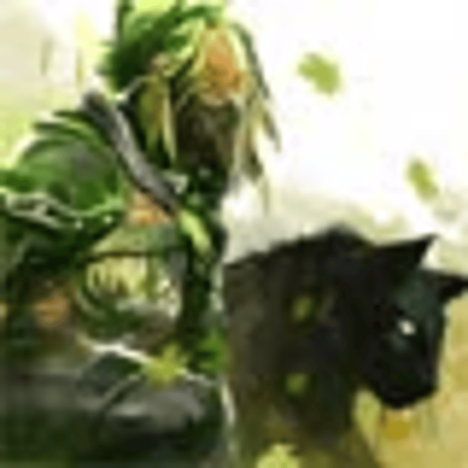 Guild Wars 2 Ranger & Pet Details Revealed