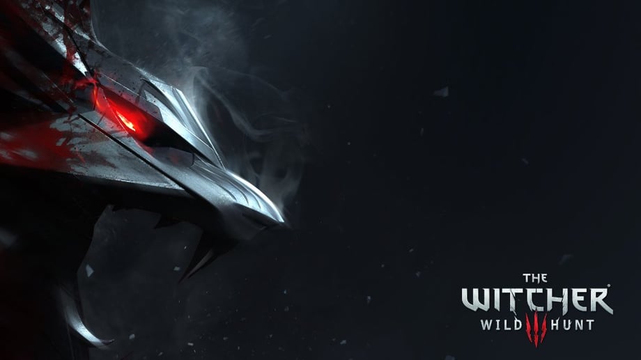 The Witcher 3: Wild Hunt 