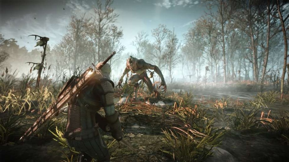 The Witcher 3: Wild Hun #10