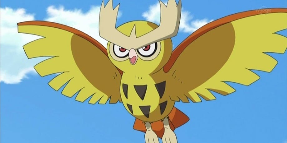 Noctowl