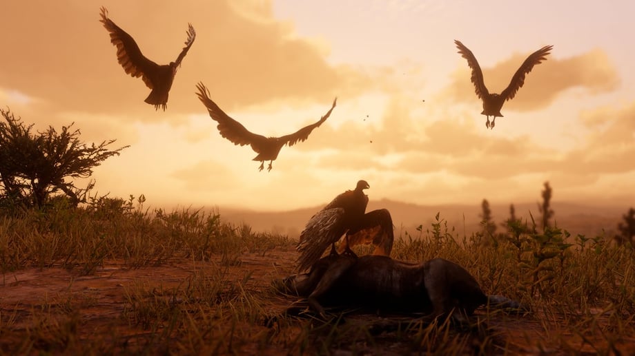 rdr2