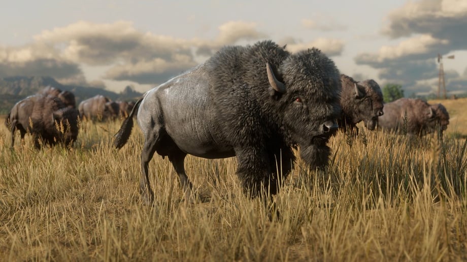 rdr2