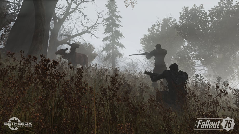 FALLOUT 76