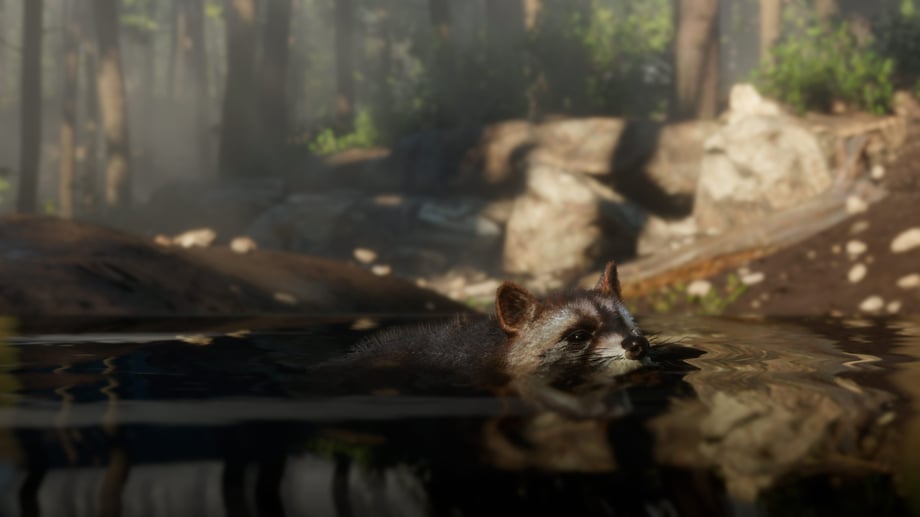 rdr2