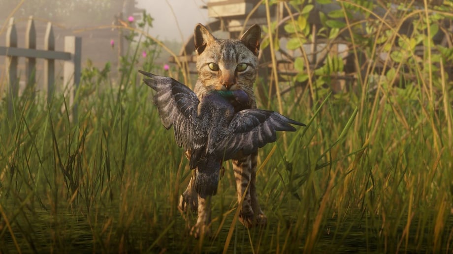 rdr2