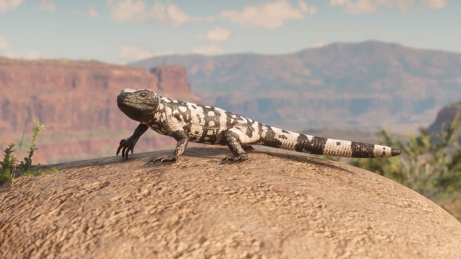 rdr2