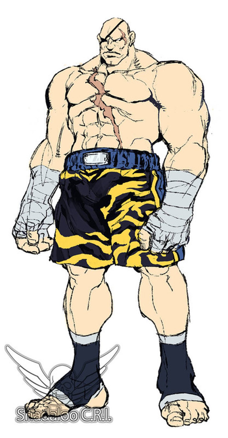SFVSAGATPic1