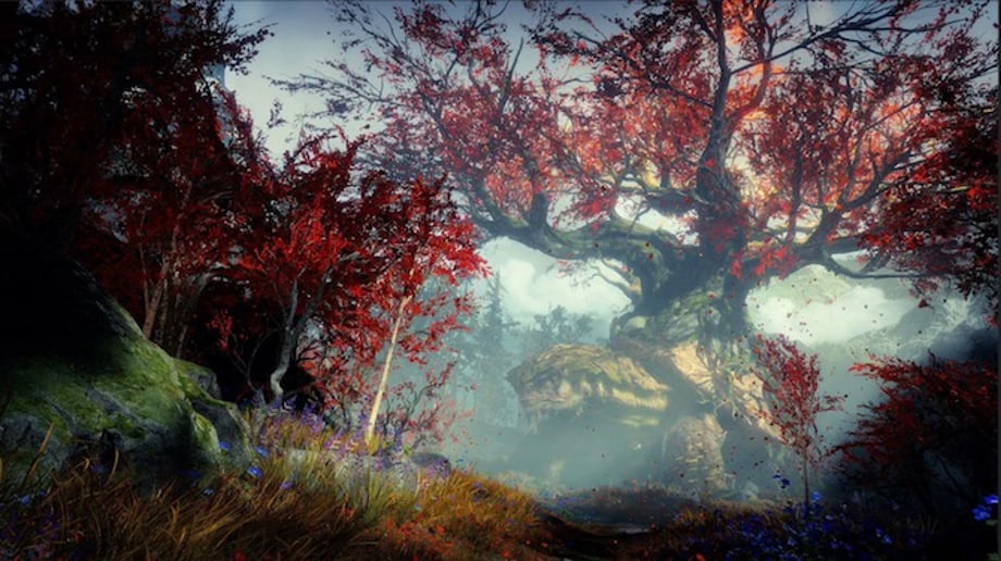 GODOFWARPHOTOPic8