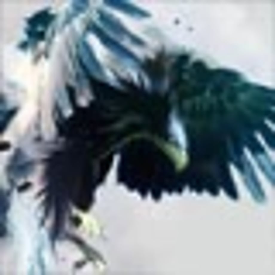 Assassin's Creed III Eagle Powers Revealed