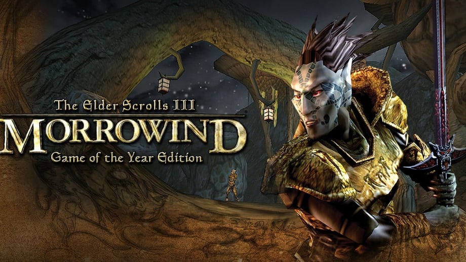 Morrowind Gets A Fan-Made Dual-Screen Mode That Moves Your Map, Inventory And Menus To A Second Display