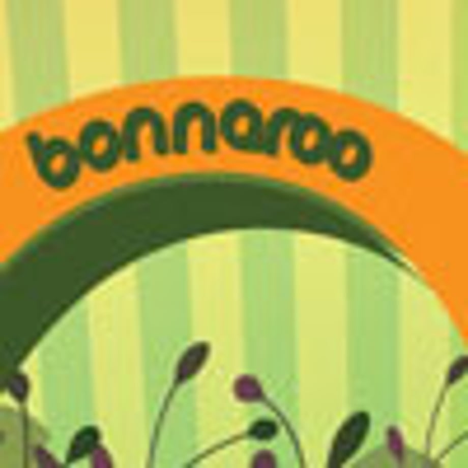 Rock Band Bonnaroo Play & Win Sweepstakes