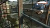 Captain America: Super Soldier Screenshot 8