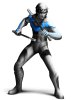 Nightwing (Batman Arkham City)