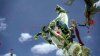 FINAL FANTASY XIII #1