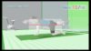 Wii Fit Screenshot 2