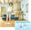 Wii Fit Misc 46