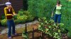 The Sims 3 Screenshot 13