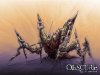 Obscure: Aftermath Artwork 3