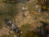 Diablo III Screenshot 66