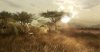 Far Cry 2 Screenshot 8