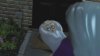 Lego Harry Potter: Years 1-4 Screenshot 9