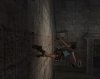 Tomb Raider: Anniversary Screenshot 29