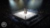 EA Sports MMA Screenshot 13