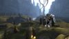 Section 8: Screenshot 1