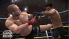 EA Sports MMA Screenshot