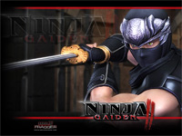 HolyFragger.com Ninja Gaiden II Wallpaper 1