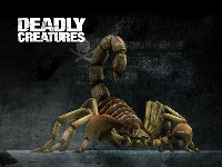 Deadly Creatures Wallpaper - Scorpion