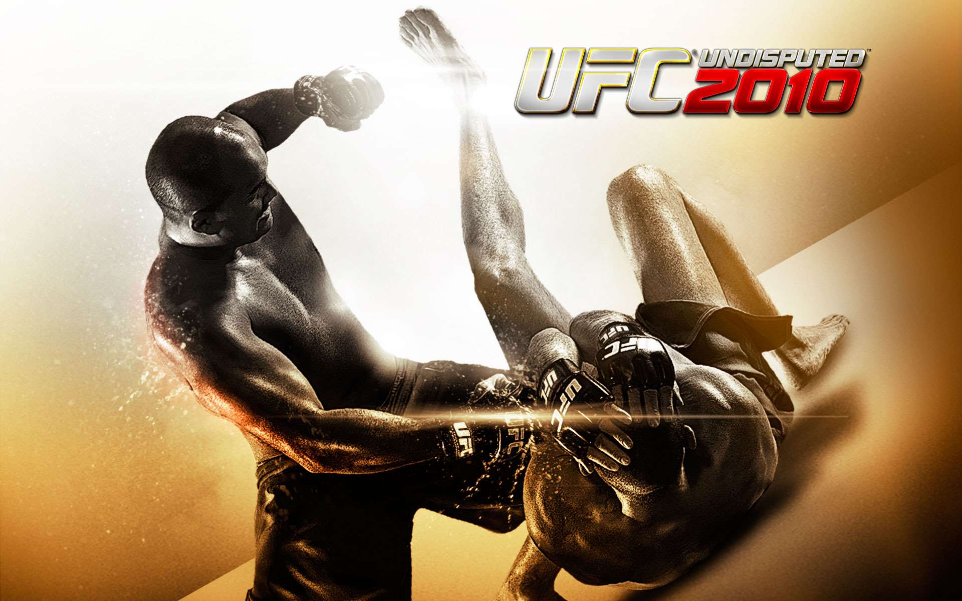 UFC Undisputed 2010 Wallpaper - 2.