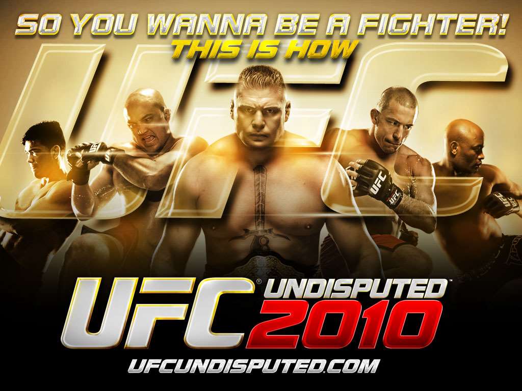 UFC Undisputed 2010 Wallpaper - 3 (1024 x 768)