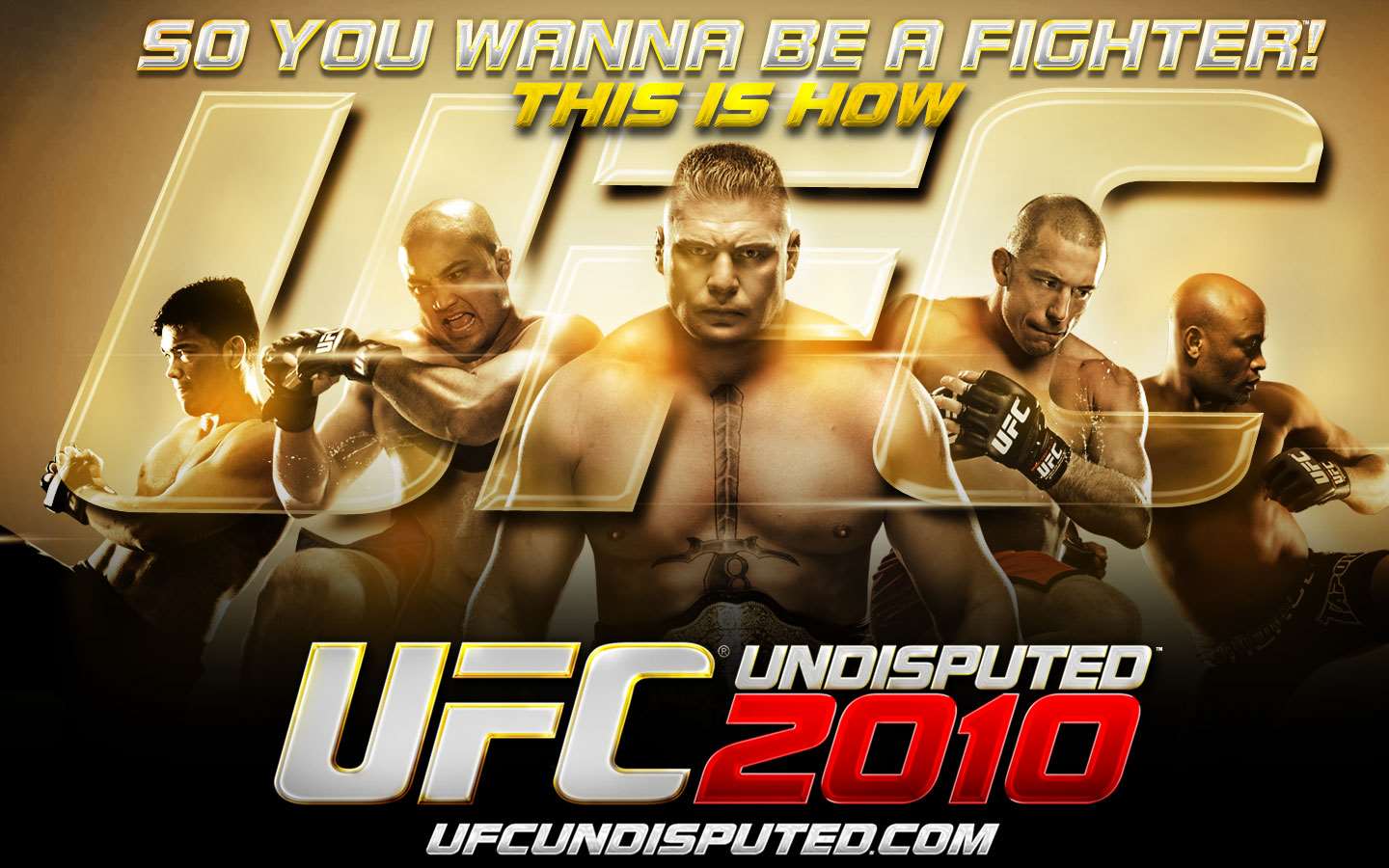 UFC Undisputed 2010 Wallpaper - 3 (1440 x 900)