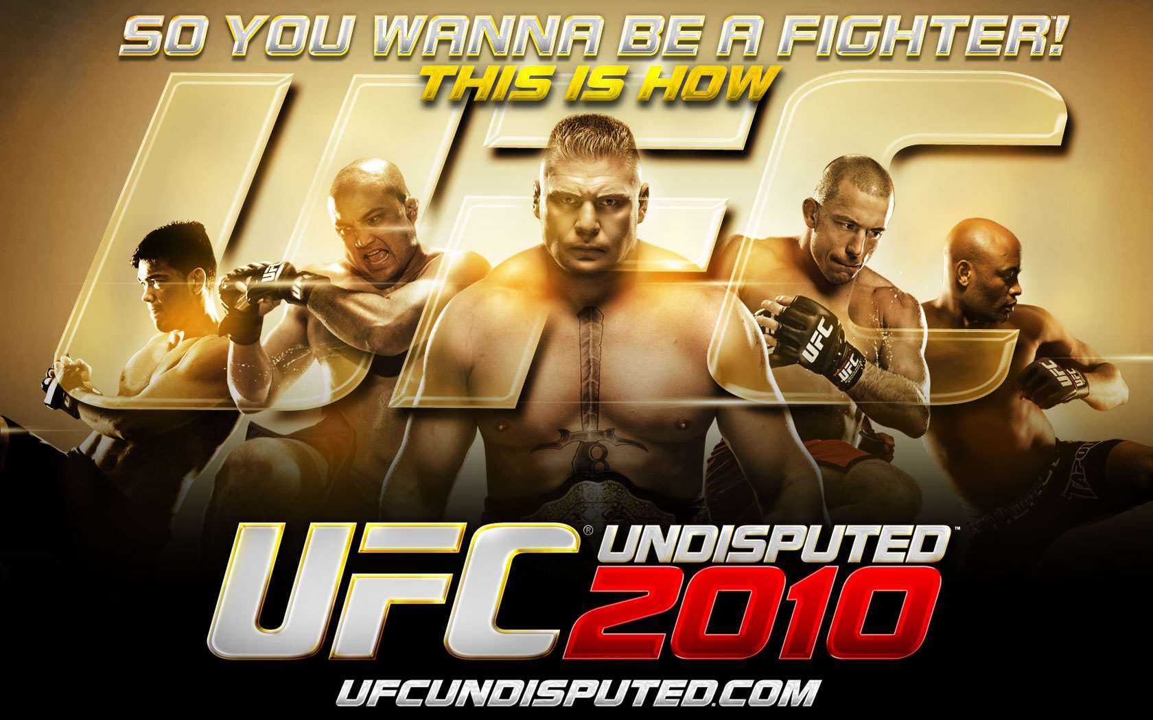 UFC Undisputed 2010 Wallpaper - 3 (1680 x 1050)