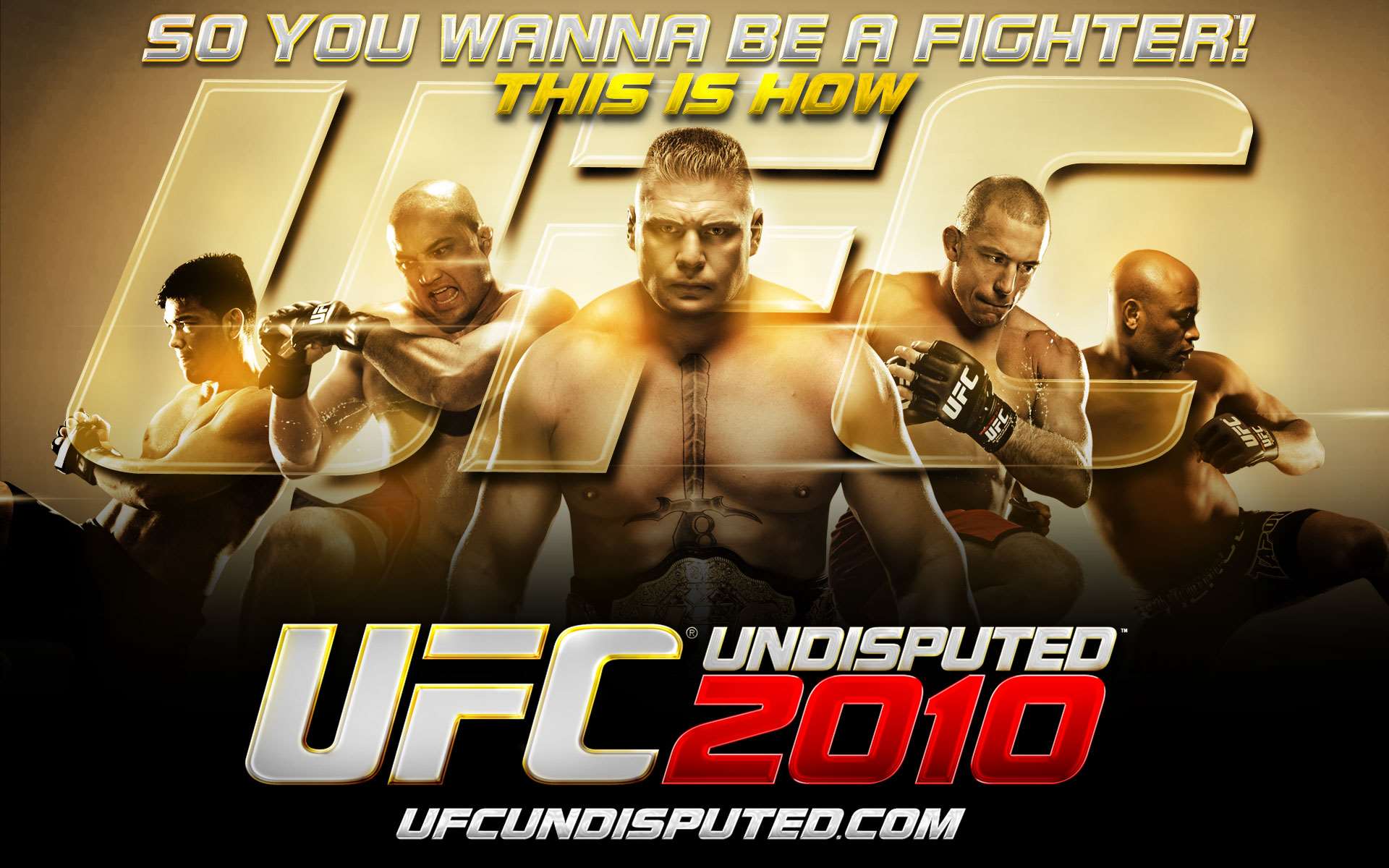 UFC Undisputed 2010 Wallpaper - 3 (1920 x 1200)